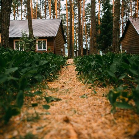 Duck Lake Villa Polatszk Kültér fotó